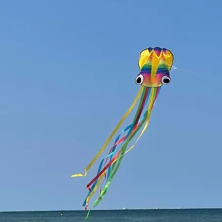 Πανσιόν Baltia