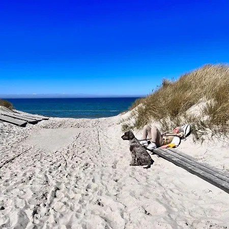 Baltia Πανσιόν 4*