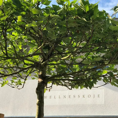 Πανσιόν Baltia Graal-Mueritz